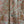 Load image into Gallery viewer, STARDUST COAT